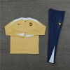 France Tracksuits Long Sleeve Soccer Training Uniforms Gold