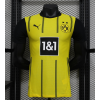 Dortmund 2024/25 Away Replica Custom Jersey - Yellow