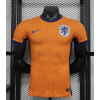 Netherland 2024/25 Home Replica Custom Jersey - Orange