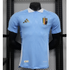 Belgium 2024/25 Away Replica Custom Jersey - Blue