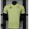 Spain 2024/25 Away Replica Custom Jersey - Green