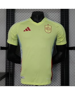 Spain 2024/25 Away Replica Custom Jersey - Green