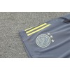 Ajax Adult Short Sleeve Training Suit Yellow Grey