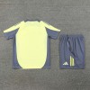 Ajax Adult Short Sleeve Training Suit Yellow Grey