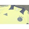 Ajax Adult Short Sleeve Training Suit Yellow Grey