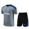 Inter Milan Adult Short Sleeve Training Suit Grey