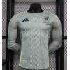 Mexico 2024/25 Away Long Sleeve Replica Custom Jersey - Green