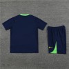 Brazil Adult Short Sleeve Training Suit Blue