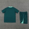 Tottenham Hotspur Adult Short Sleeve Training Suit Dark Green