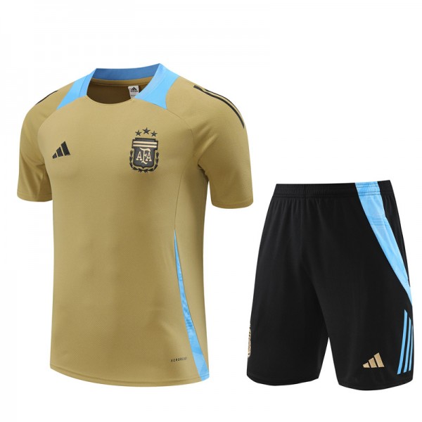 Argentina Adult Short Sleeve Training Suit Gold