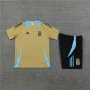 Argentina Adult Short Sleeve Training Suit Gold