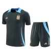 Argentina Adult Short Sleeve Training Suit Green-Grey