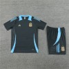 Argentina Adult Short Sleeve Training Suit Green-Grey