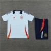 Spain  Adult Short Sleeve Training Suit Grey Blue