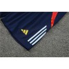 Spain  Adult Short Sleeve Training Suit Grey Blue