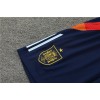 Spain  Adult Short Sleeve Training Suit Grey Blue