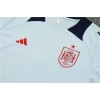 Spain  Adult Short Sleeve Training Suit Grey Blue